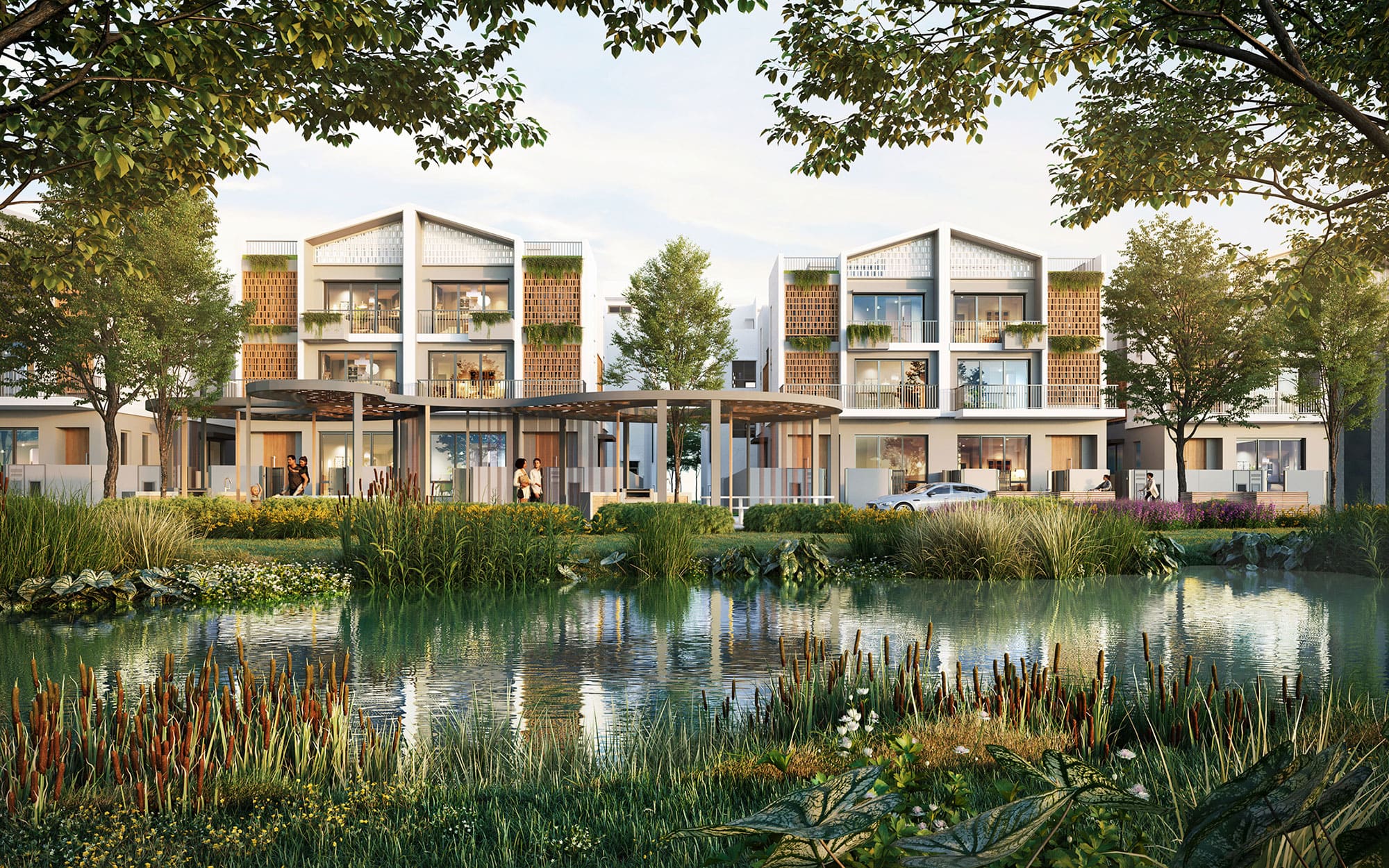 The Meadow## PROJECT INFORMATION