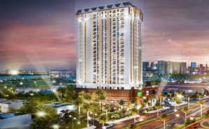 White City Living