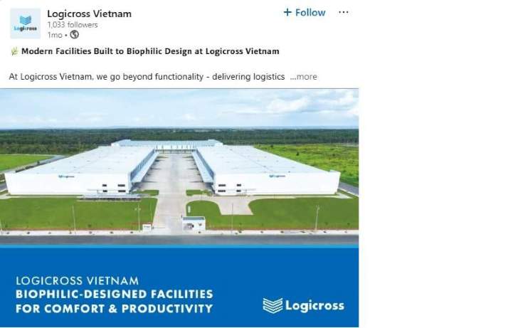 savill marketing logicross nam thuan