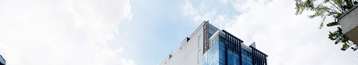 Phuong Long Tower