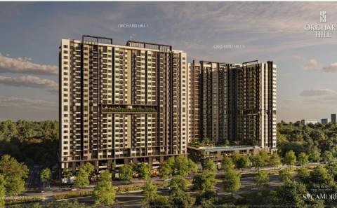 sycamore orchard hill