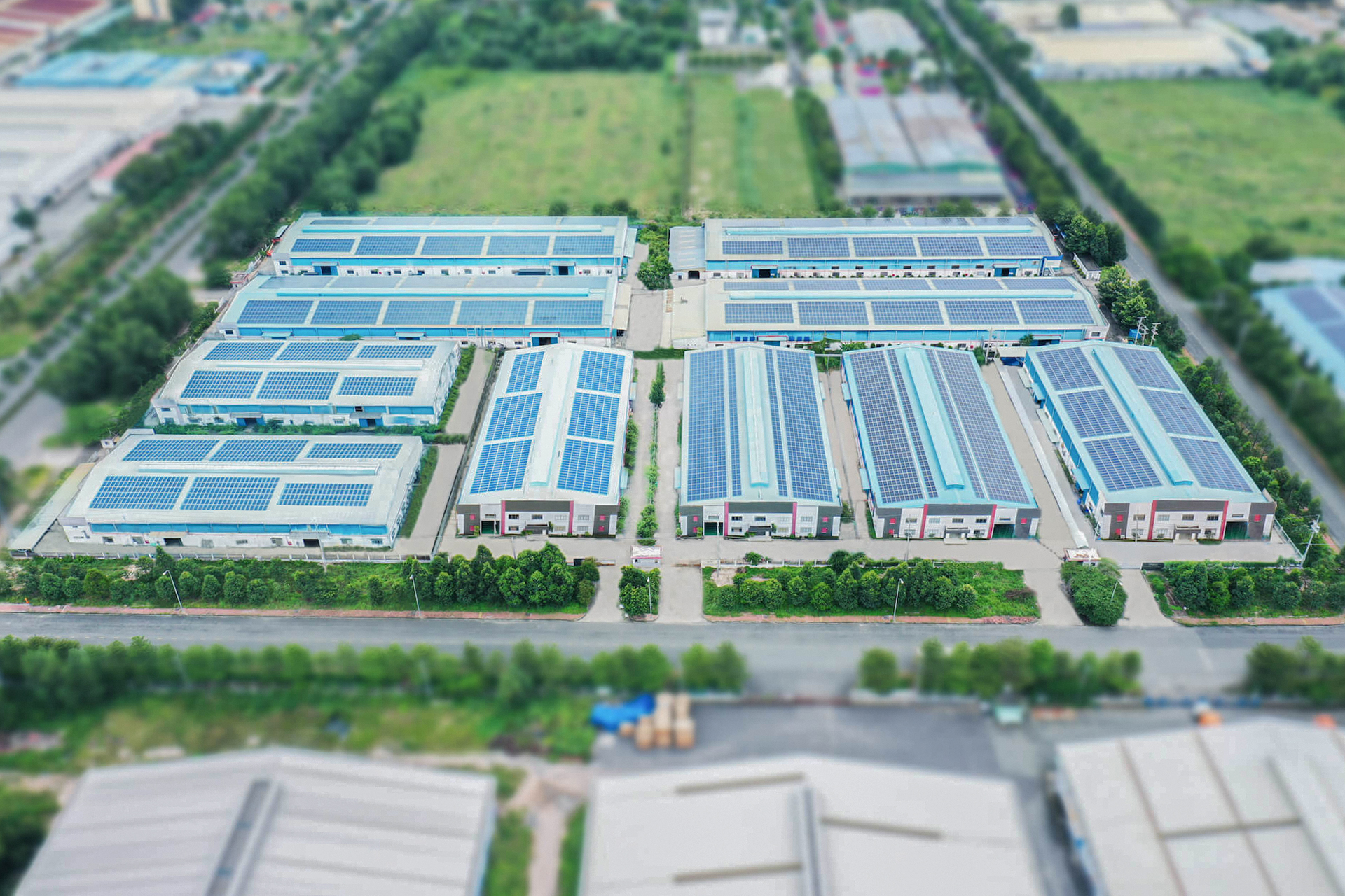 plant management services