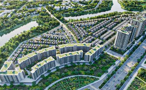 White City Living