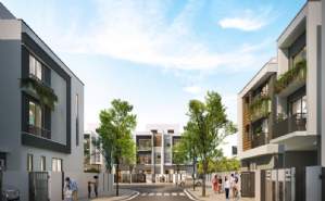 The Meadow## PROJECT INFORMATION